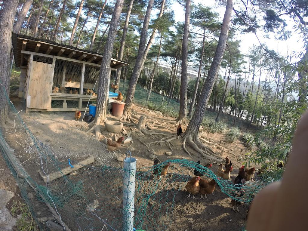Korean Traditional House - Chungnokdang Otel Boseong Dış mekan fotoğraf
