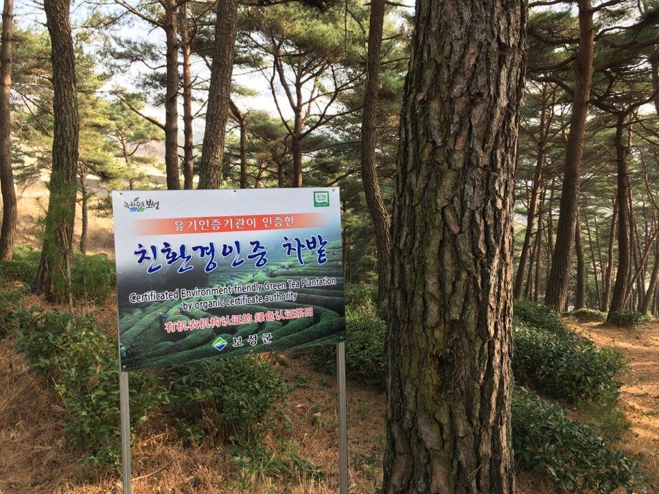 Korean Traditional House - Chungnokdang Otel Boseong Dış mekan fotoğraf